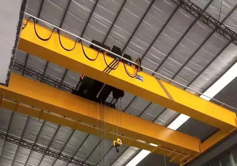 Double beam bridge crane